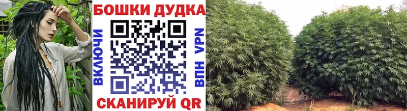 Наркотические вещества Монино МАРИХУАНА  Амфетамин  А ПВП  ГАШИШ  ТГК  Меф 