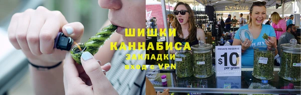 шишки Абаза
