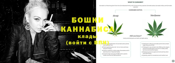 тгк Елизово
