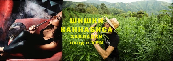 шишки Абаза