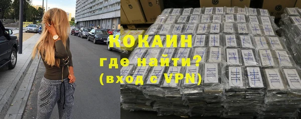 шишки Абаза
