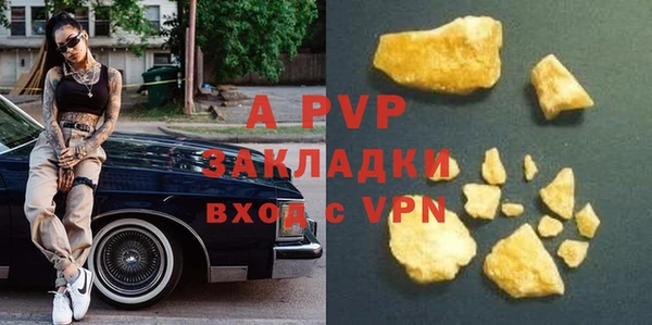 шишки Абаза