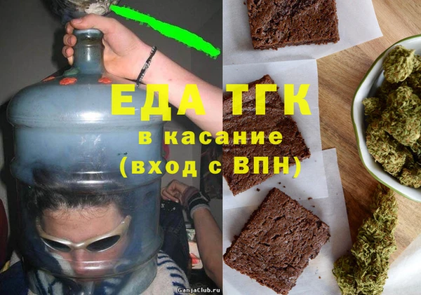 шишки Абаза