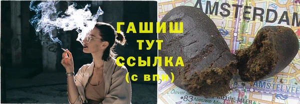 шишки Абаза